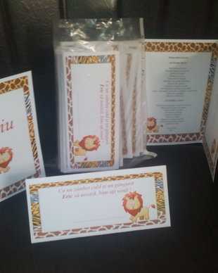 Plic de bani botez
