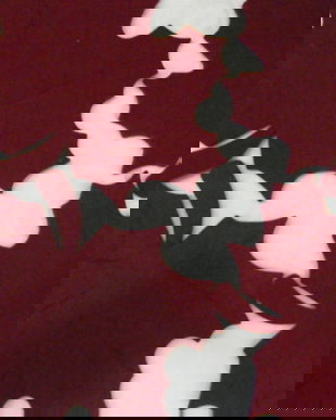 Set 4 suporturi vesela