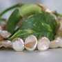 Perle cultura 12-14mm, cod ID38 (1)