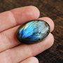 Cabochon Labradorit  spectrolit - Oval