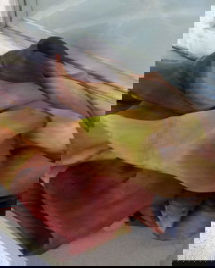 BATIC MATASE NATURALA PICTAT MANUAL 87/87 CM