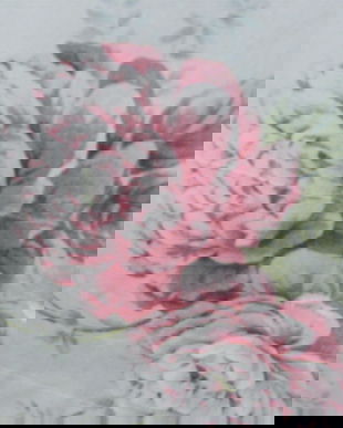 Draperie groasa cu trandafiri