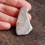 Jasper oceanic / Sediment marin / regalit natural -  netratat, nevopsit