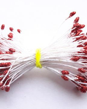 Lstamine02 - (5 buc) stamine rosii