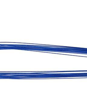 Lsarma05 - sarma albastra
