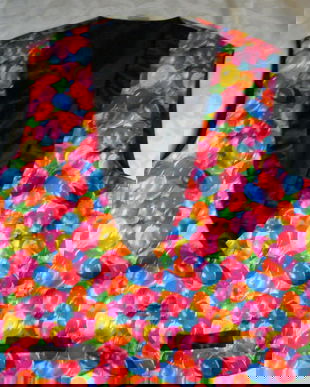 Costumatie clown-vesta