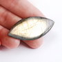 Cabochon masiv Labradorit Marquise - gold