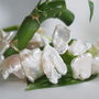 Perle cultura 16~30x10~18mm, cod P26 (1)