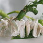 Perle cultura biwa 12~26x5~11mm, cod P27 (1)