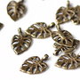 Charm Frunza Monstera deliciosa - bronz antic