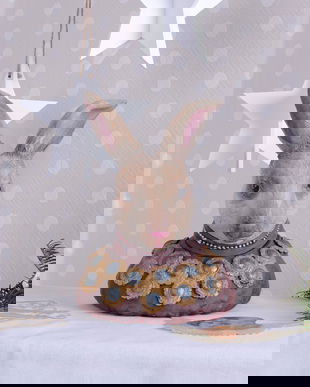 CASETA IEPURE DIN RASINI