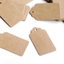 Etichete / Tag-uri  Carton Kraft - natur
