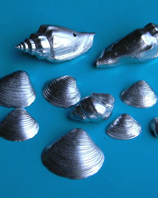 Scoici/melci - 10 buc. (PSID-LV3)