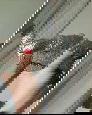 CUREA PIELE NATURALA SI ELEMENTE METALICE