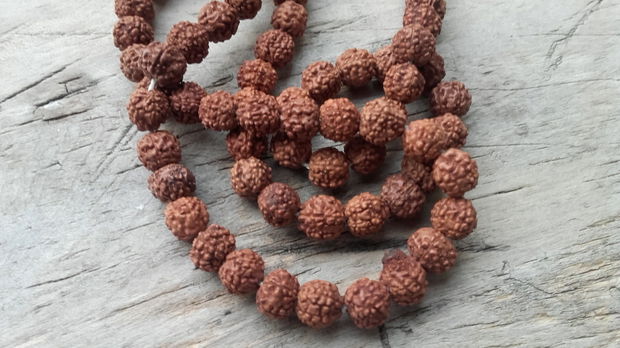 Rudraksha aprox 6 mm