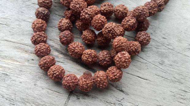 Rudraksha aprox 6 mm