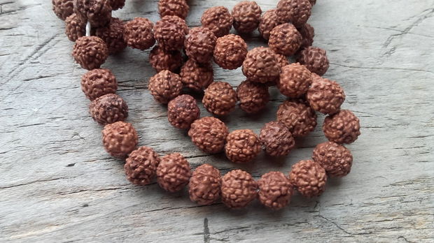 Rudraksha aprox 6 mm