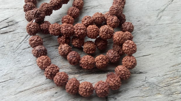 Rudraksha aprox 6 mm