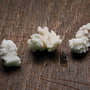 Coral alb poros - ramurele - fragmente - 3buc - G0028
