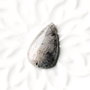 Cabochon Quartz turmalinat  - lacrima