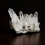 Specimen - Cluster Quartz & calcopirit - de la Herja