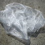 Organza alba1