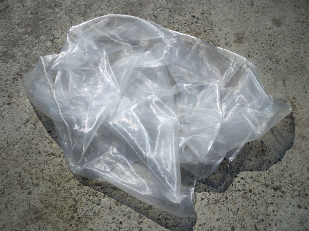 Organza alba1