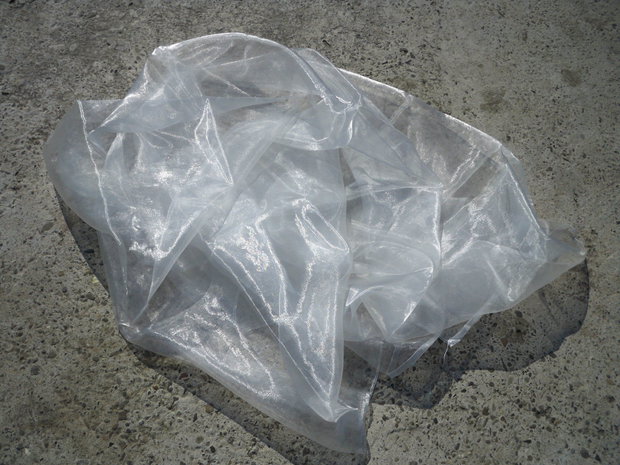 Organza alba1