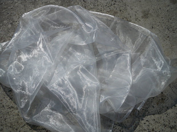 Organza alba1