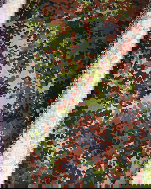 material  camuflaj bumbac fin , impermeabil