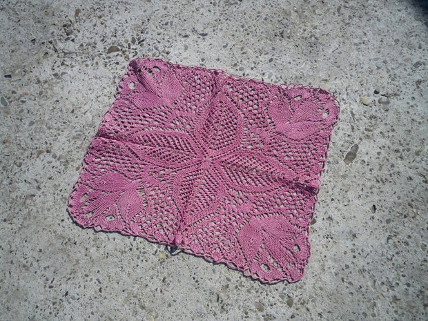 Dantela 556