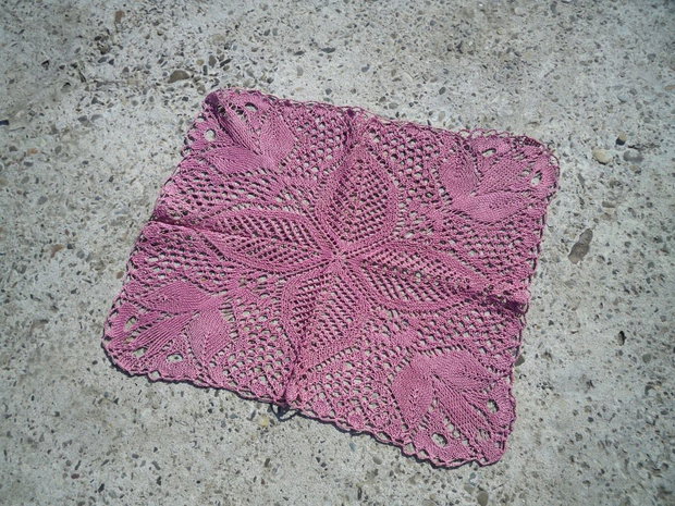 Dantela 556