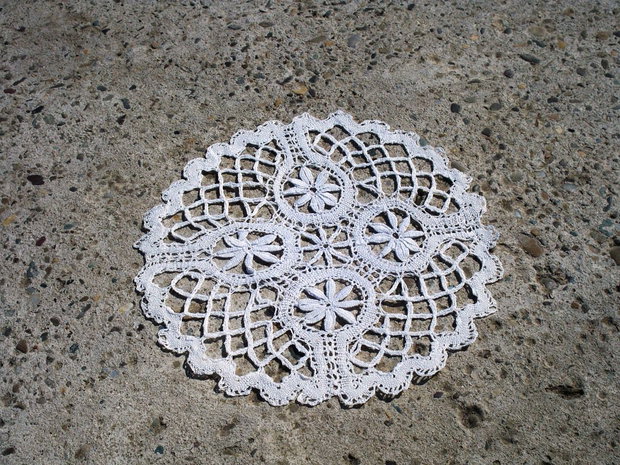 Dantela 560