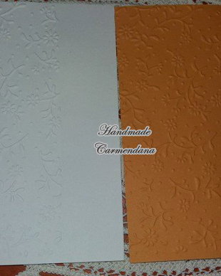 Carton embosat