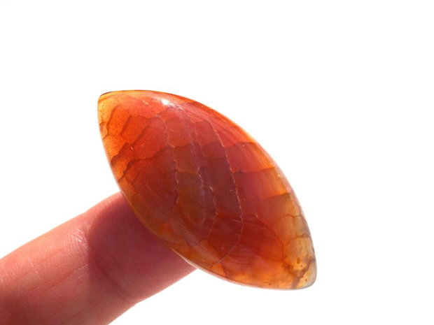 Cabochon agat