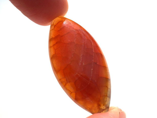 Cabochon agat