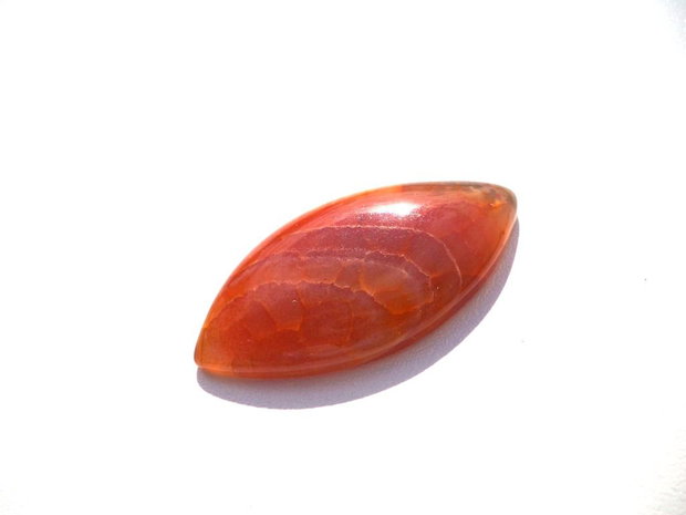 Cabochon agat