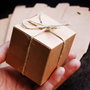 Set 10 cutiute carton natur/ kraft - cub cu fir de iuta