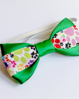 Papion pentru catei-verde-cu labute multicolore
