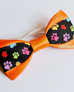 Papion  catei-orange/negru cu labute
