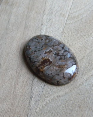Caboson leopard skin jasper (C6)