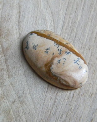 Caboson picture jasper (C3)