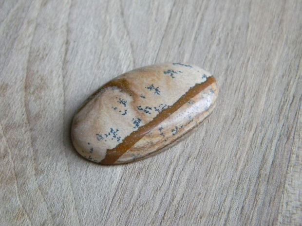 Caboson picture jasper (C3)