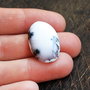 REZERVAT - R.  - Cabochon  opal dendritic - oval