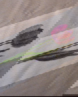 Set 2 draperii de in-noi