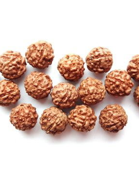LR2 - margele rudraksha 8 mm