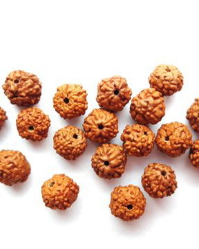 LR3 - margele rudraksha 4-5 mm