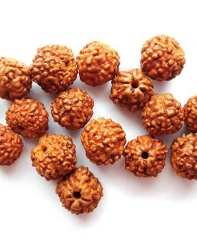 LR4 - margele rudraksha 5-6 mm