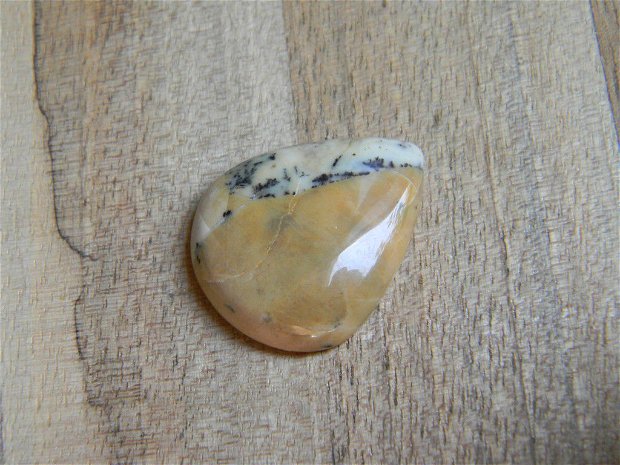 Caboson opal dendritic (C10)