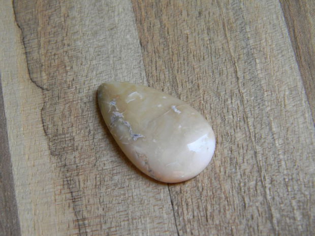 Caboson opal dendritic (C10)
